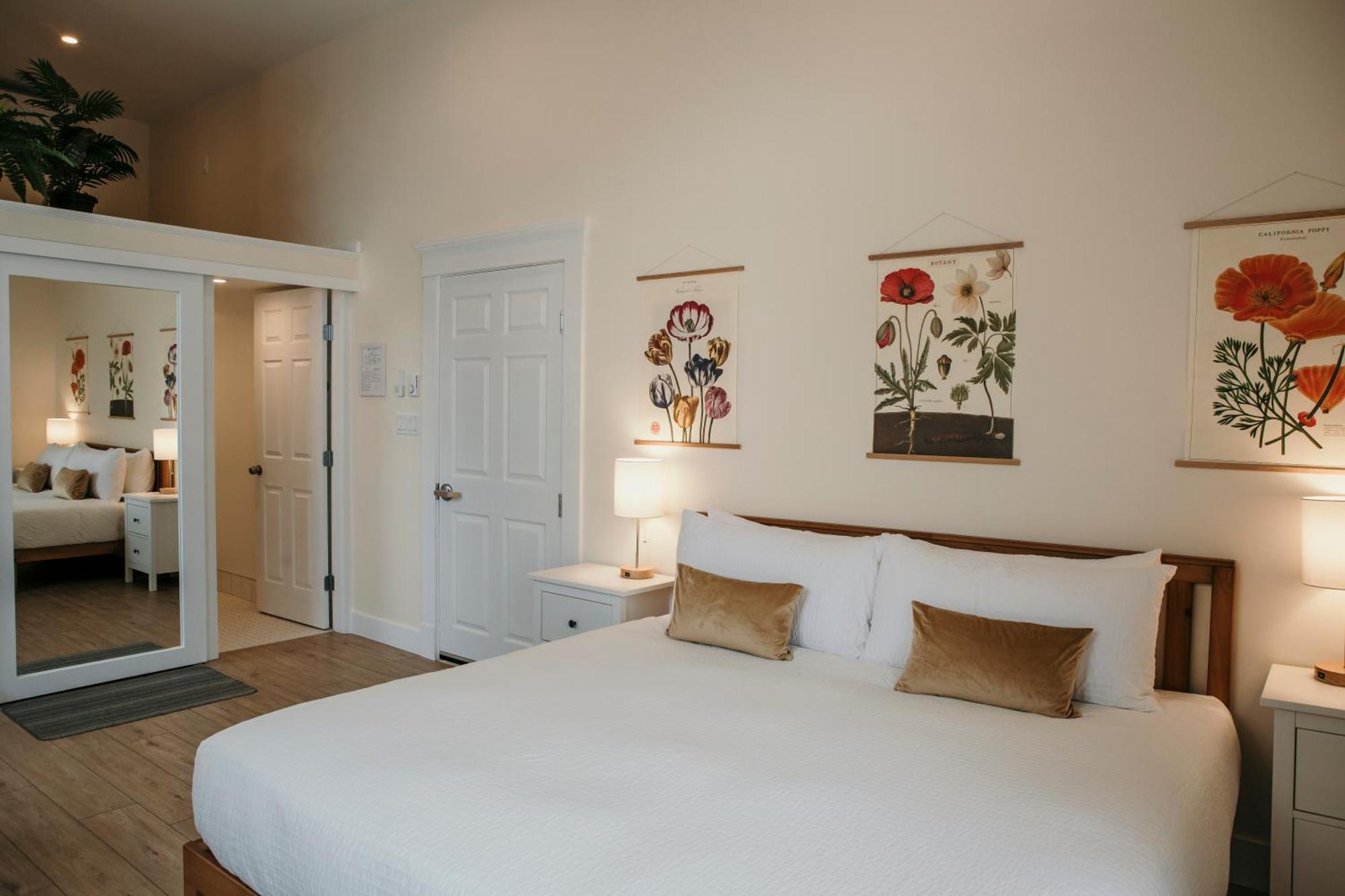 Stirling All Suites Hotel Nelson Habitación foto